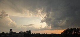 Gyula