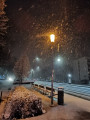 Pécs