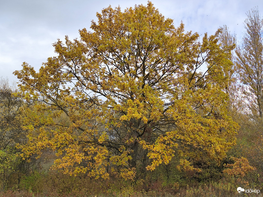 Budapest III.ker - Békásmegyer