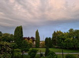 Sülysáp