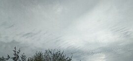 Csemő