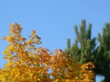 Őszi színek