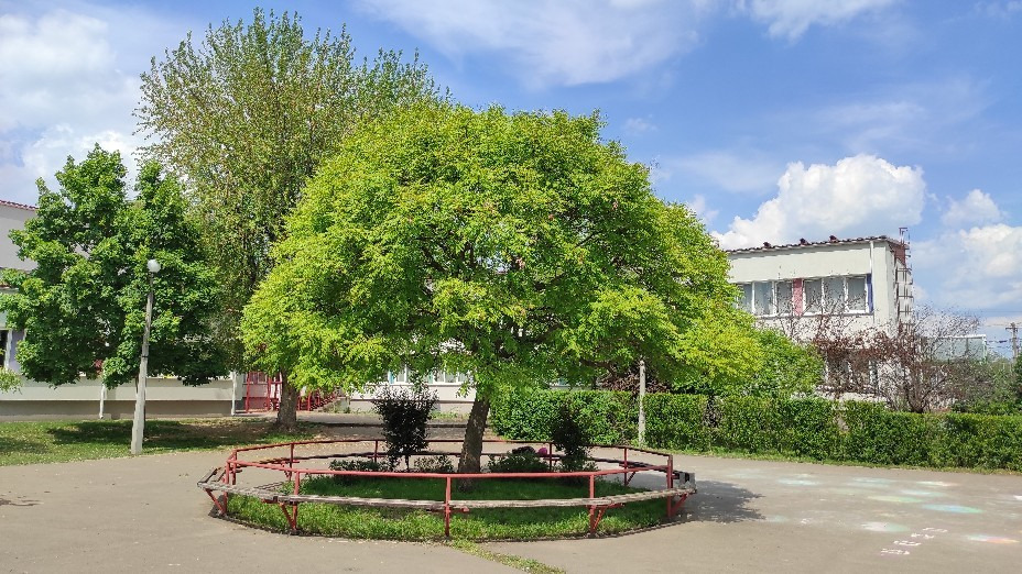 Gyál