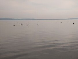 Balatonudvari