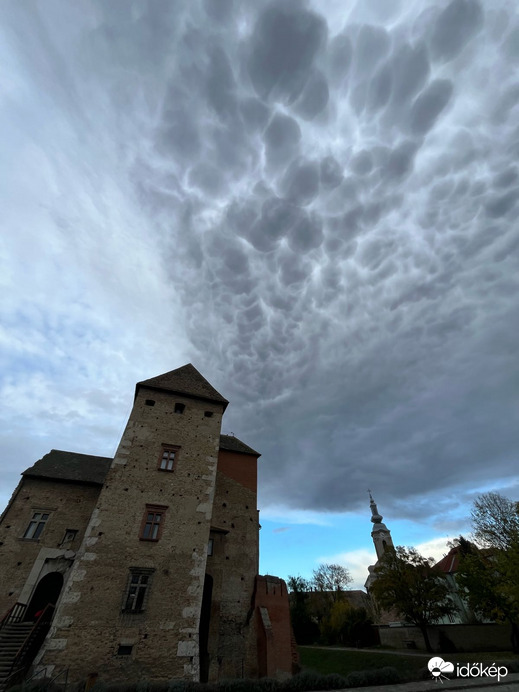 Sárbogárd