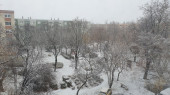 Sopron