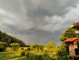 Gyula