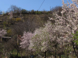 retso fotója
