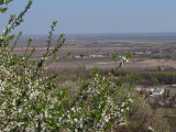 retso fotója
