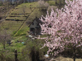 retso fotója