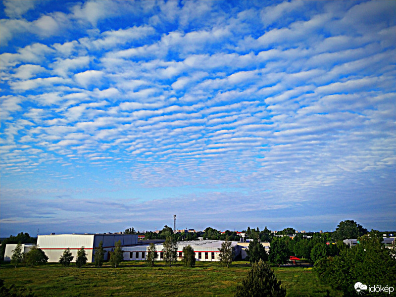 Tamási