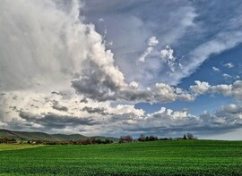 Pásztó
