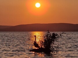Balatonföldvár