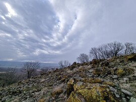 Pásztó