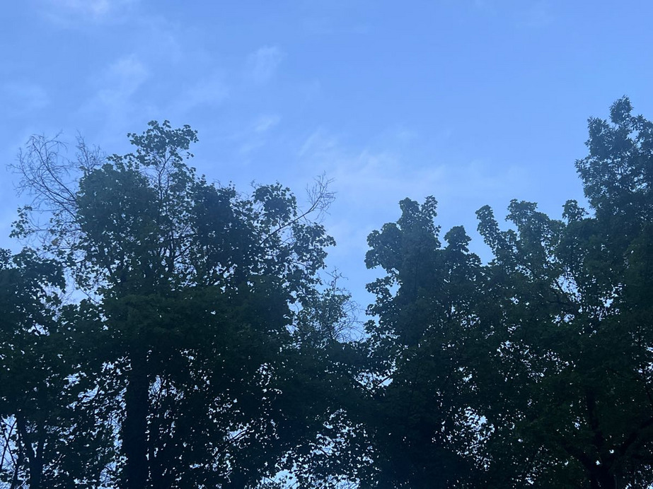 Budapest XII.ker - Normafa