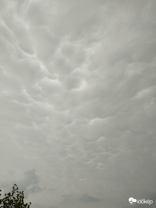 Mammatus Atkáron