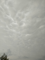 Mammatus Atkáron