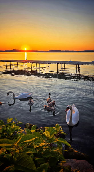 Balatonboglár