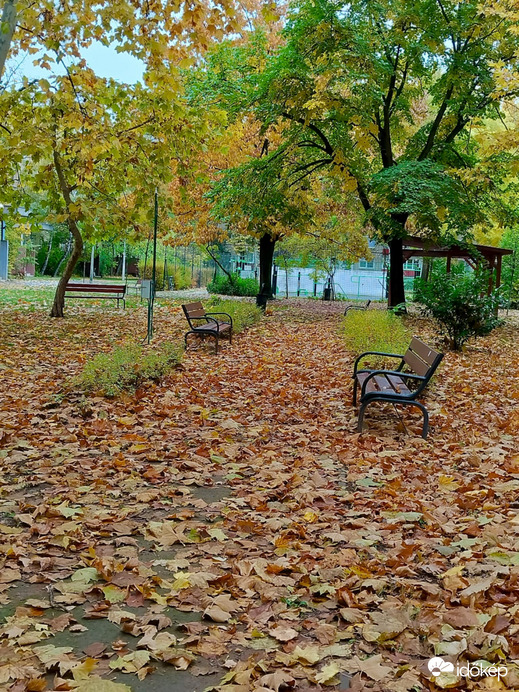 Őszi platánsor
