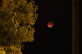 Részleges holdfogyatkozás