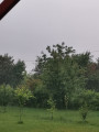 Győr