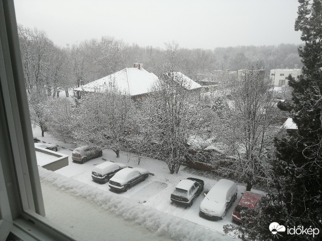 Vác-Nyulas