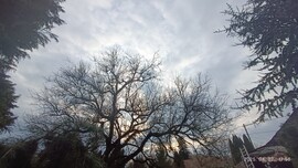 Ormándlak