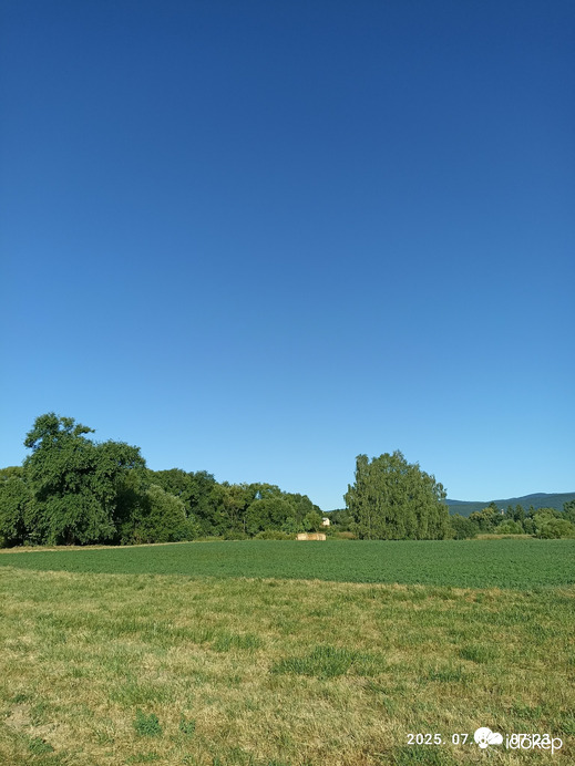 Berkenye