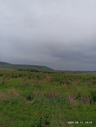 Berkenye