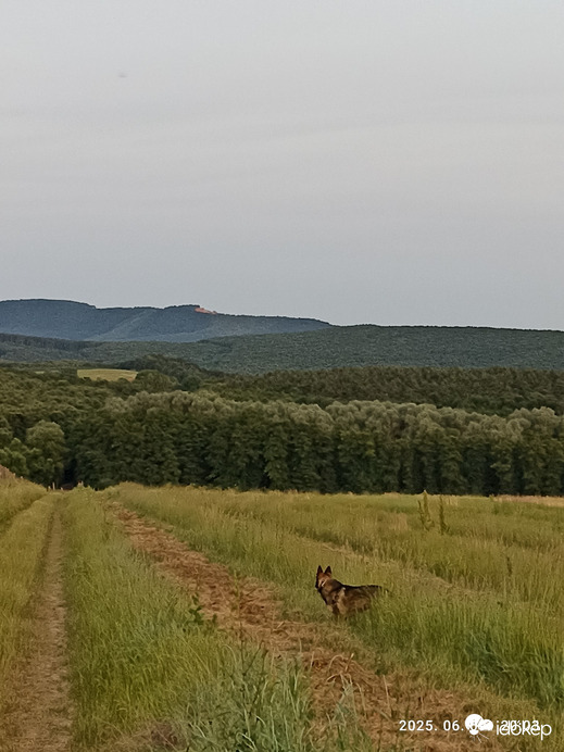 Nógrád