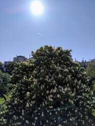 Budapest XX. ker