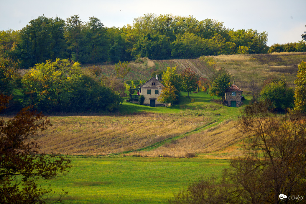 Kisgörbő