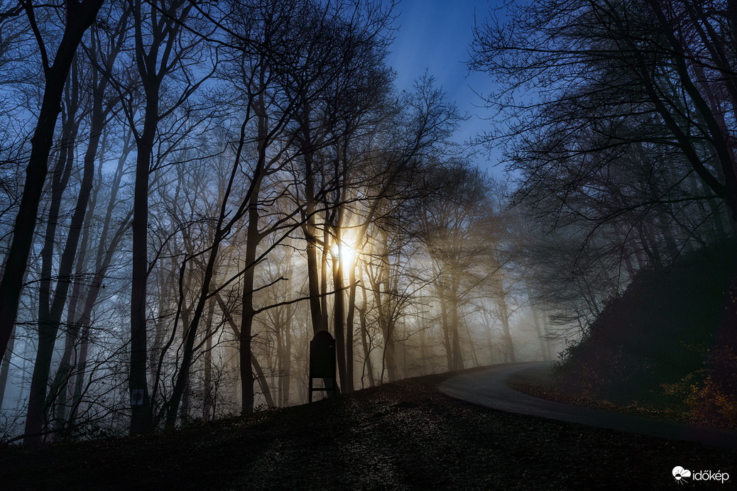 rolandpinteer fotója