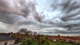 Polgár