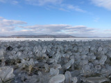 Balatonberény