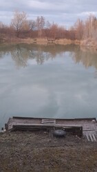 Pápa