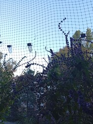 Budapest XII.ker - Sas-hegy