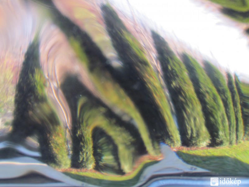 Buli van a kertben  :)