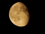 The moon