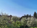 Berettyóújfalu