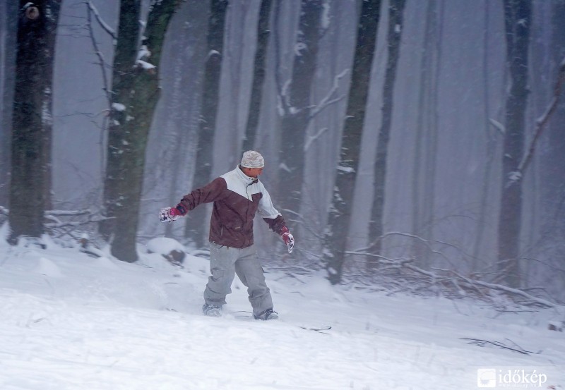 Márciusi szórakozás 