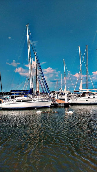 Balatonfenyves