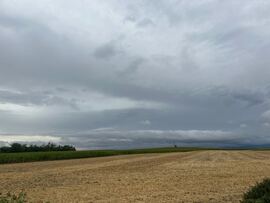 Balatonkenese