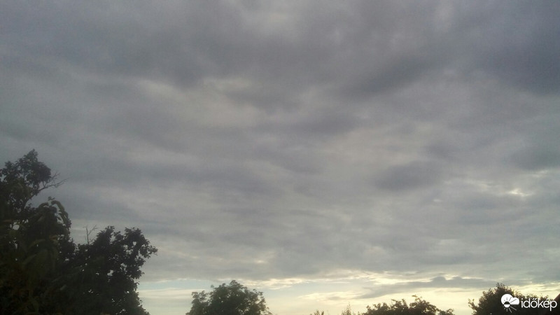 Rozsály
