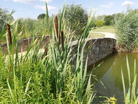 Bükfürdő