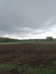 Felsőlajos