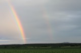 Kolontár