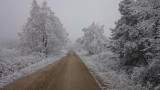 Bakonycsernye