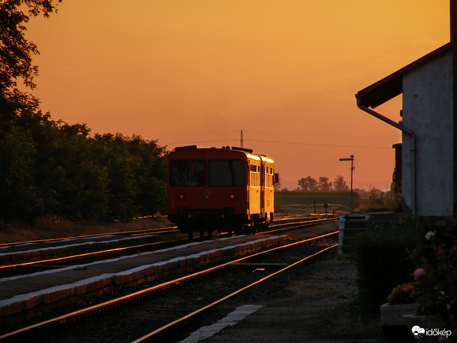 Kispiros naplementében Hajdúdorogon - 2014 július