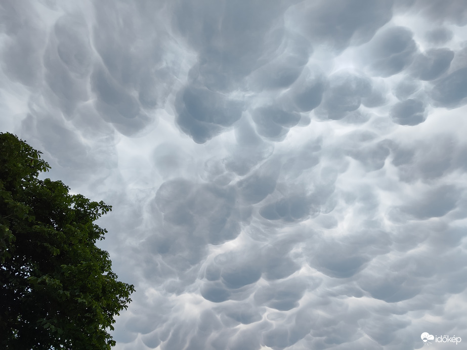 Mammatus